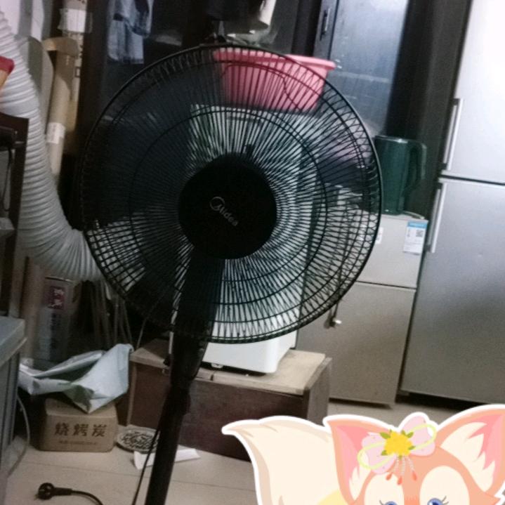 红蝶少主秋兰头像