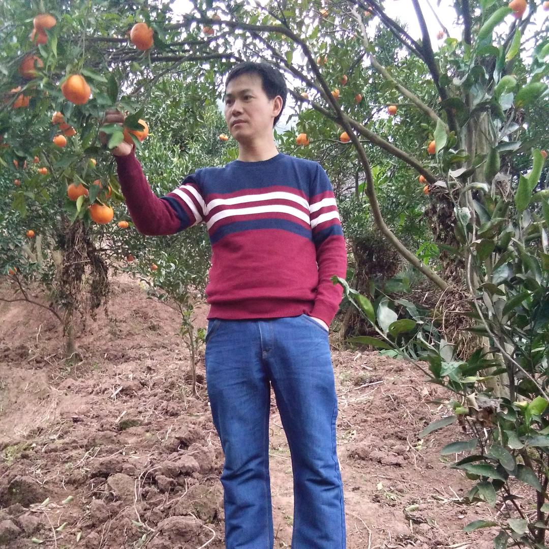 爱你永不变