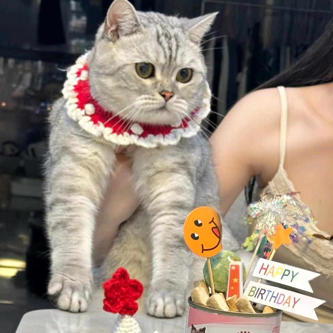 一口三个小朋友