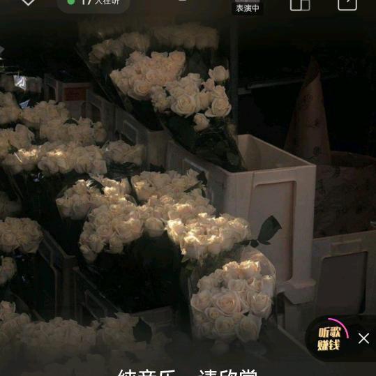 爱乔(随心拍）