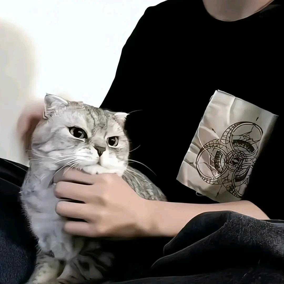 🎋.竹吟