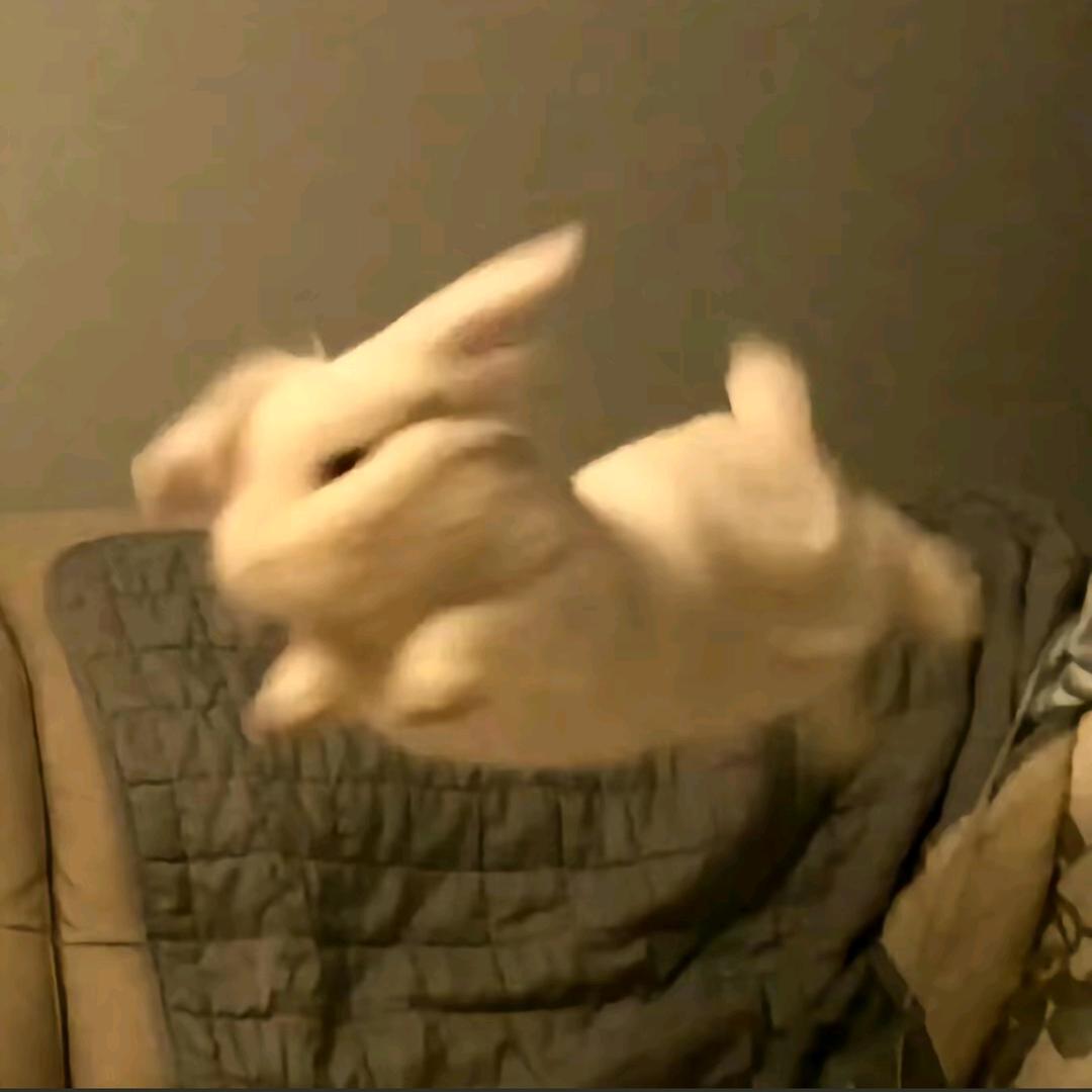 🌈脑袋困掉了🍀