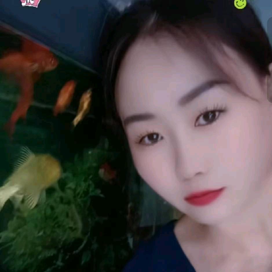 赵