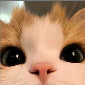 洋洋鸵