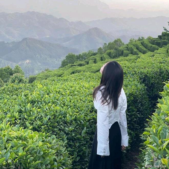 慧农财畜牧养殖旗舰店