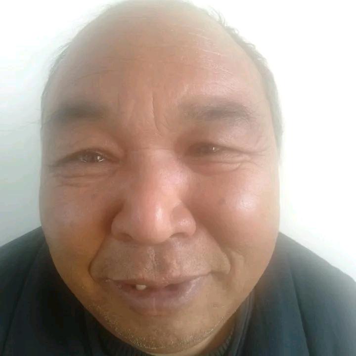 母牛b