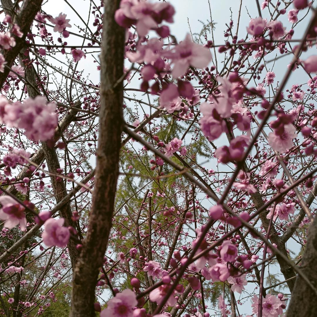 退场