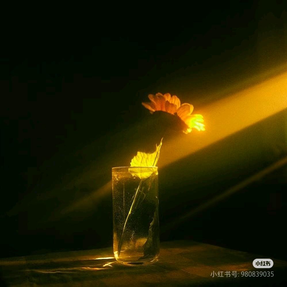 会飞的拖鞋