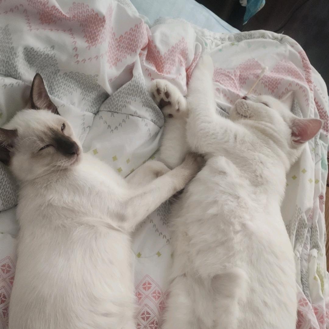 微风ˆ😊ˆ徐徐