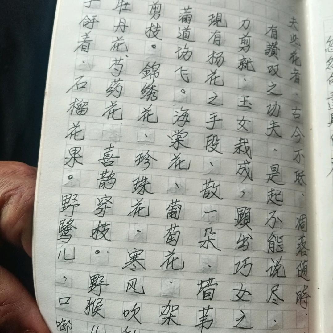 我愛的人