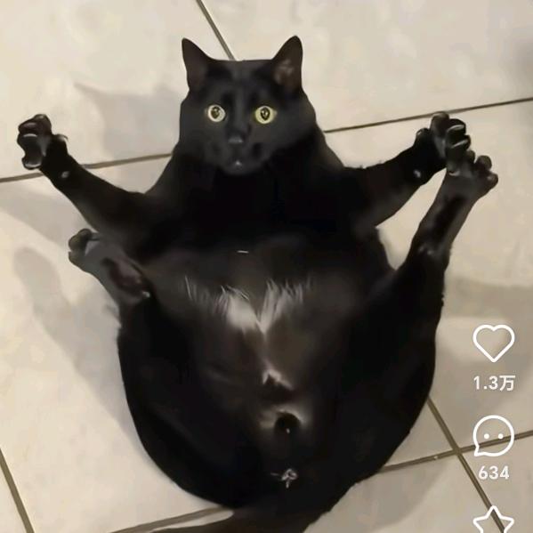 库库莱🈶财！💰