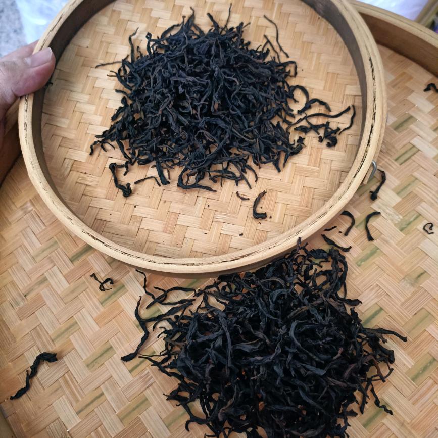 凤凰单丛原产地茶农直销  凤丛香茶庄