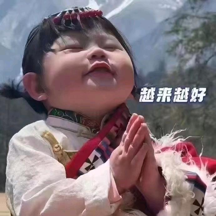 七鸽🕊
