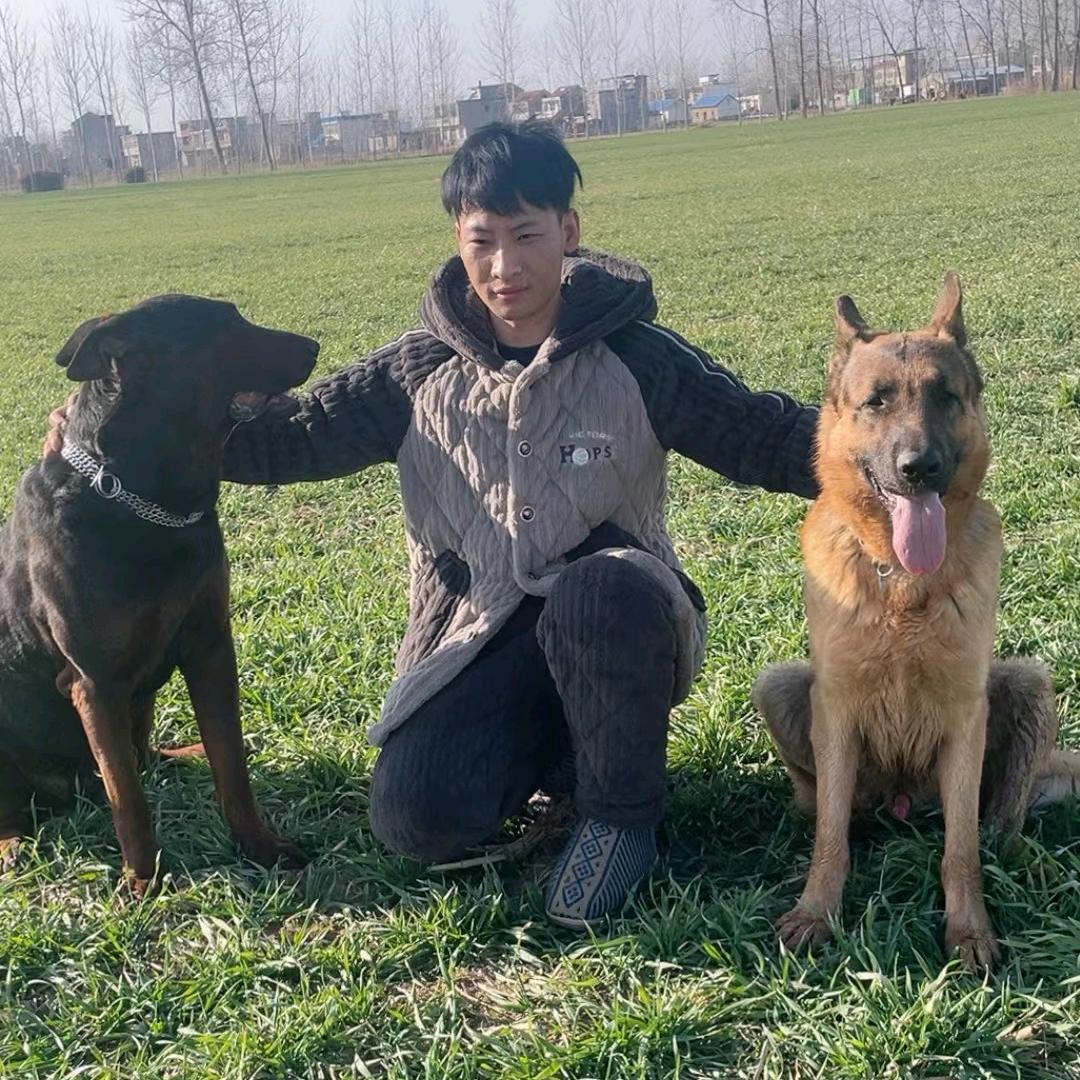 亮哥的大狼狗🐶🐶🐶