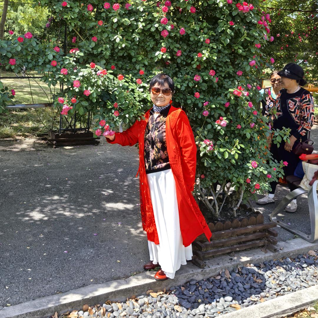 四个孙子的奶奶