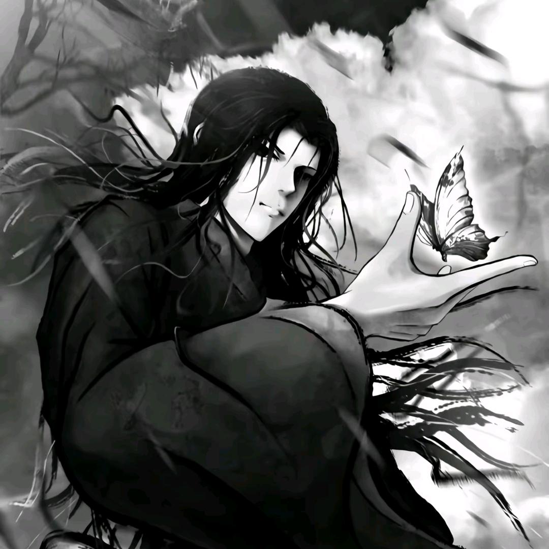 黑土