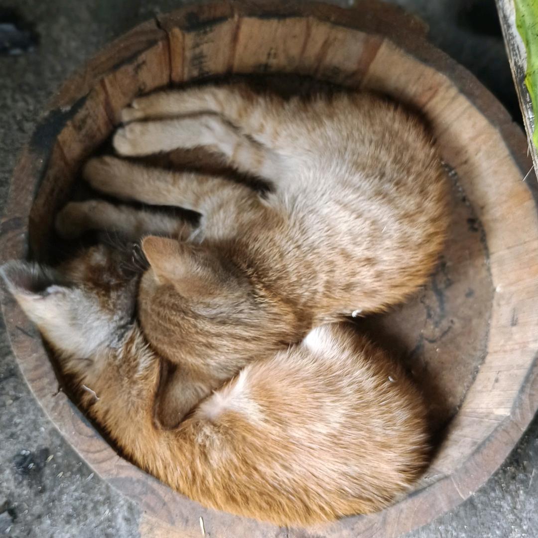 朋友圈