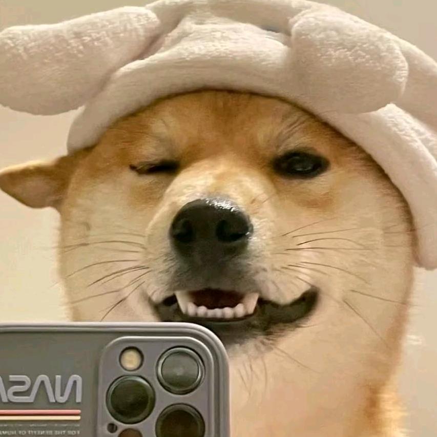 李XX头像