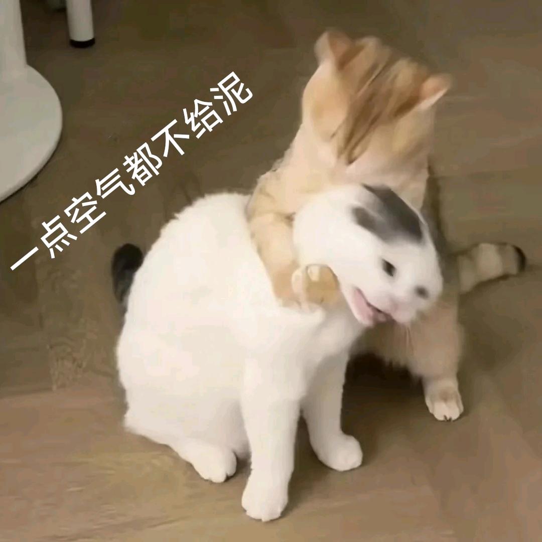 我脑子有病
