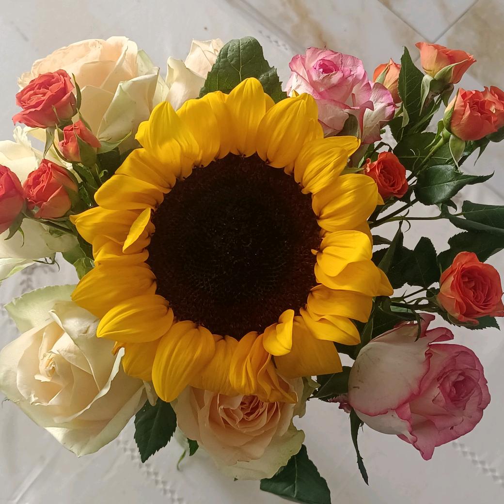 向阳花的春天（正能量文案）