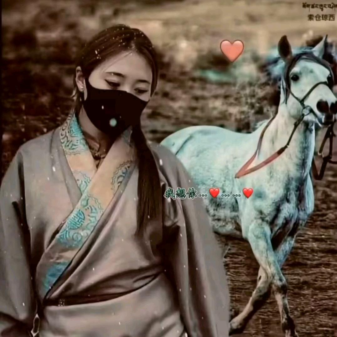 父母之恩拿命报