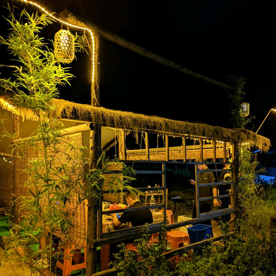 阿鲁微盆景