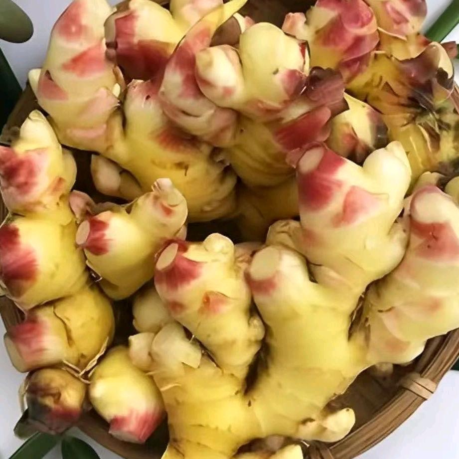 云南罗平小黄姜