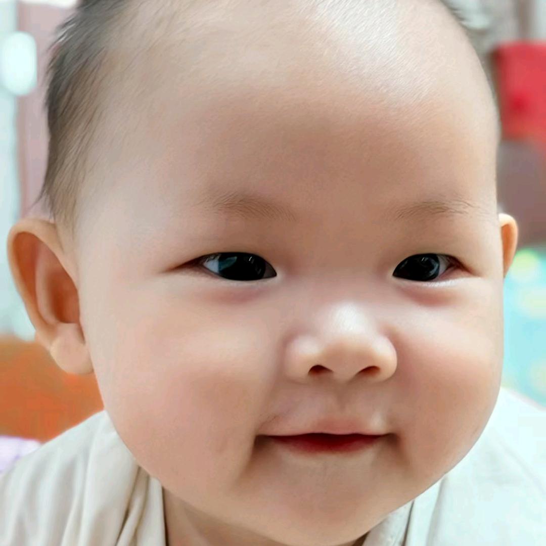 饱饱成长记