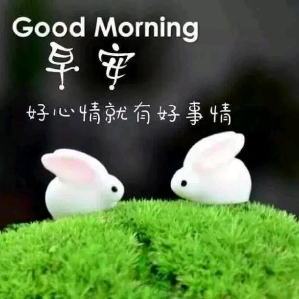 我姓杨，好人一生平安