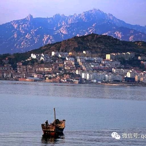 青岛浩哥