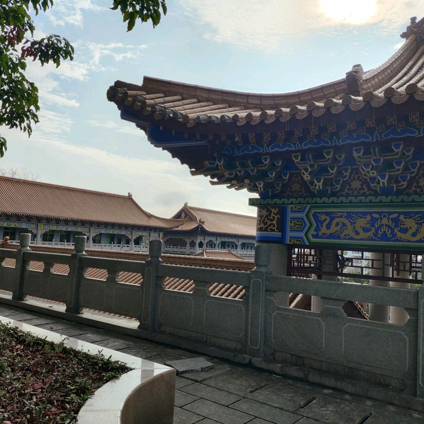 是一一吖