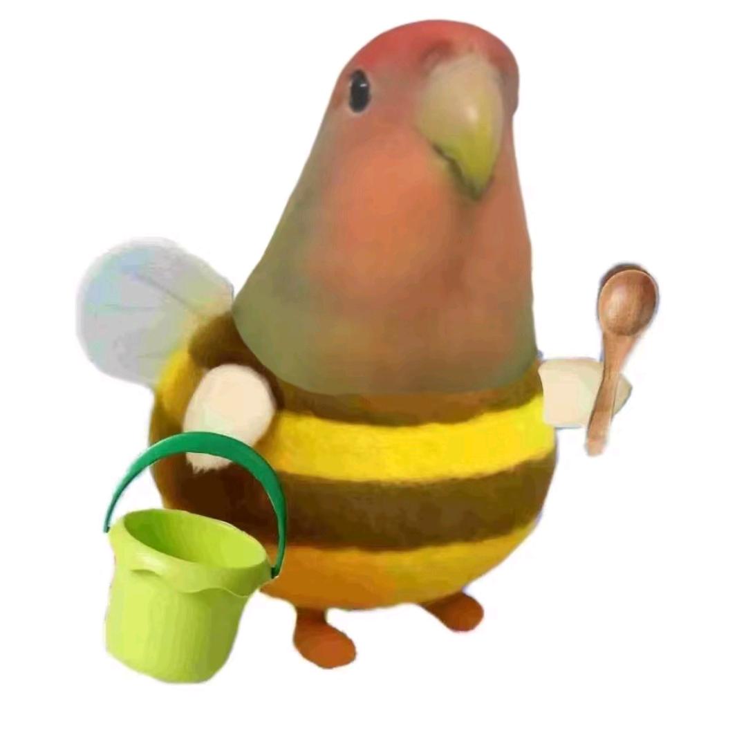 鹦鹦哥