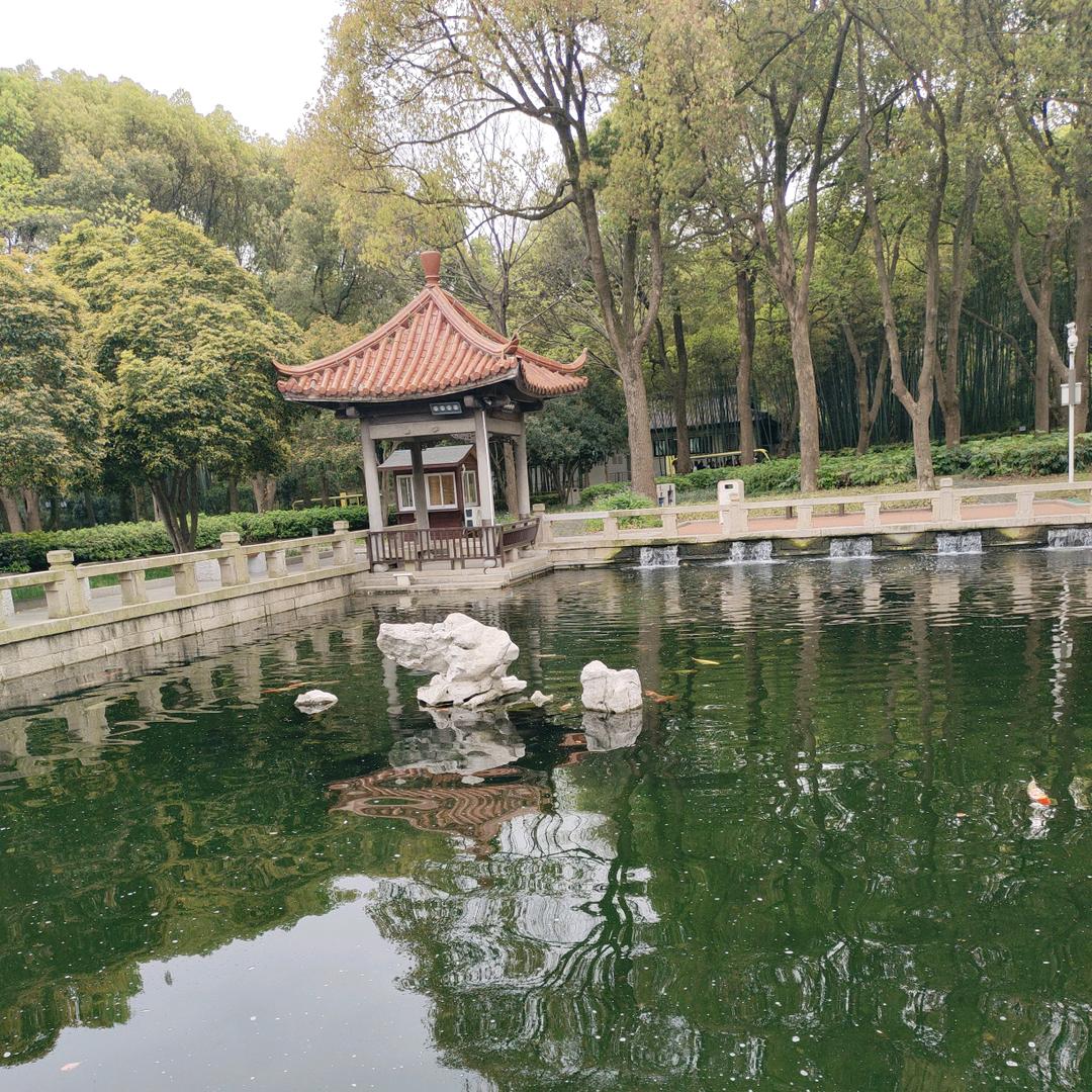 大连普兰店拍痧稻稼阳生遇见就好越来越