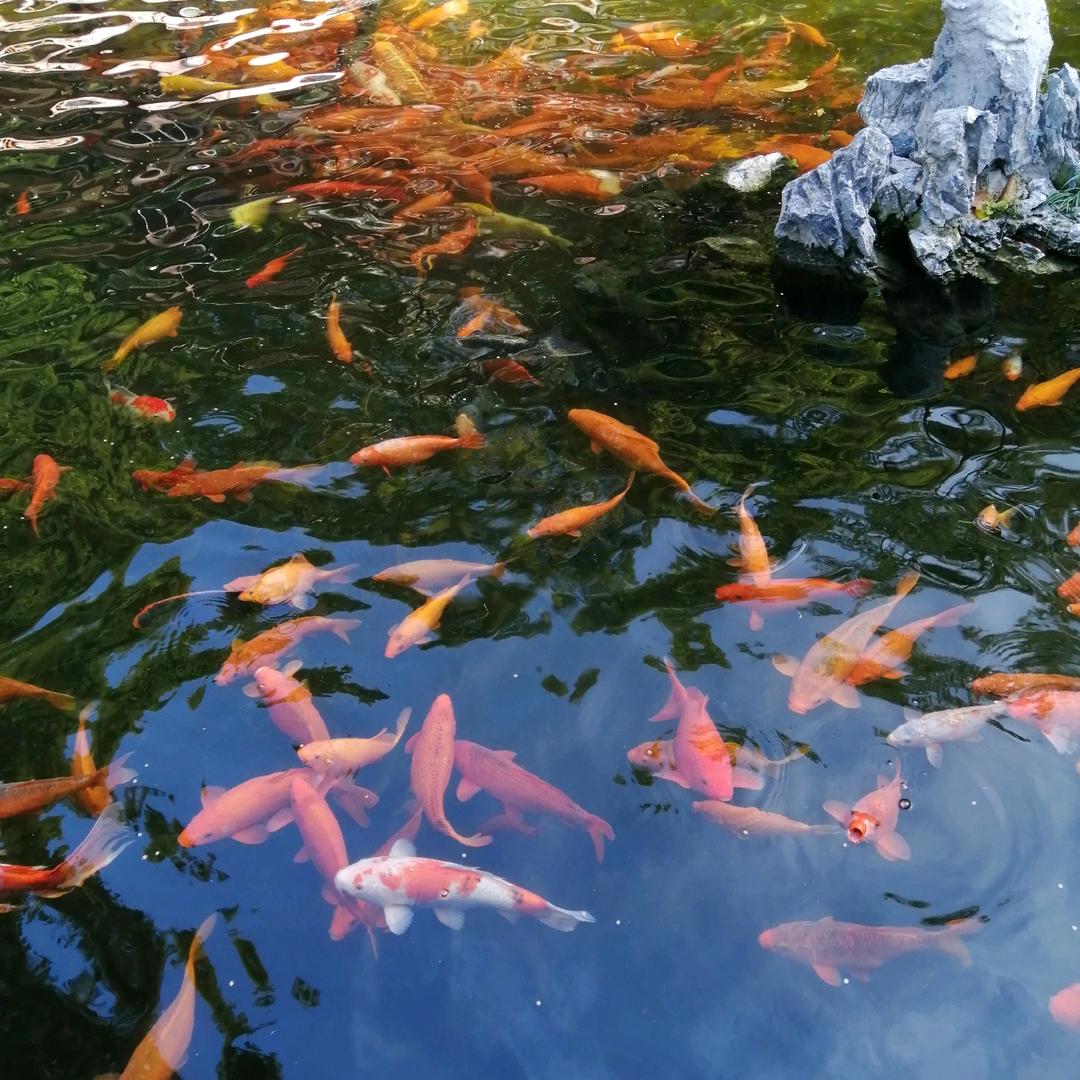 幸福一生i头像
