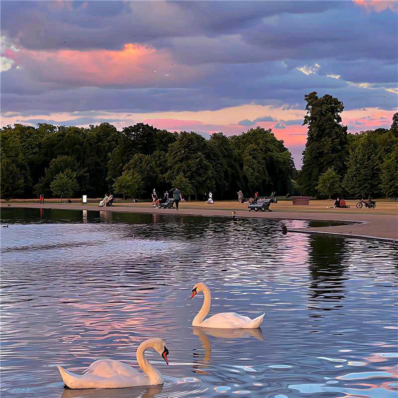 只要开心就好ℋღ᭄💞࿐寻找88年