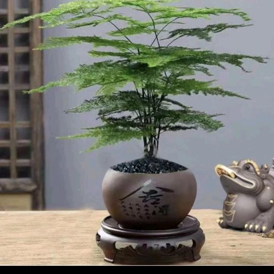 月亮醒了 我就睡