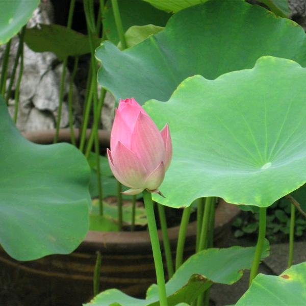 瞬间永恒