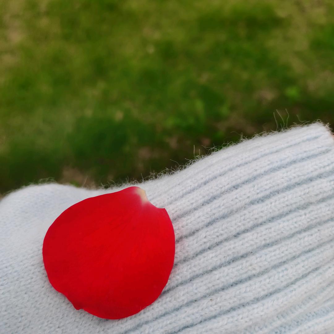 Tanling时光๑因你而正好