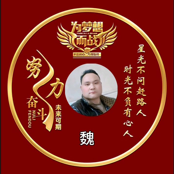 ✨我的魏来不是梦🌹