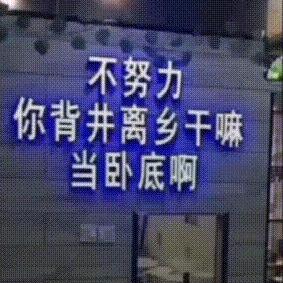 🐮孟想成真🐮