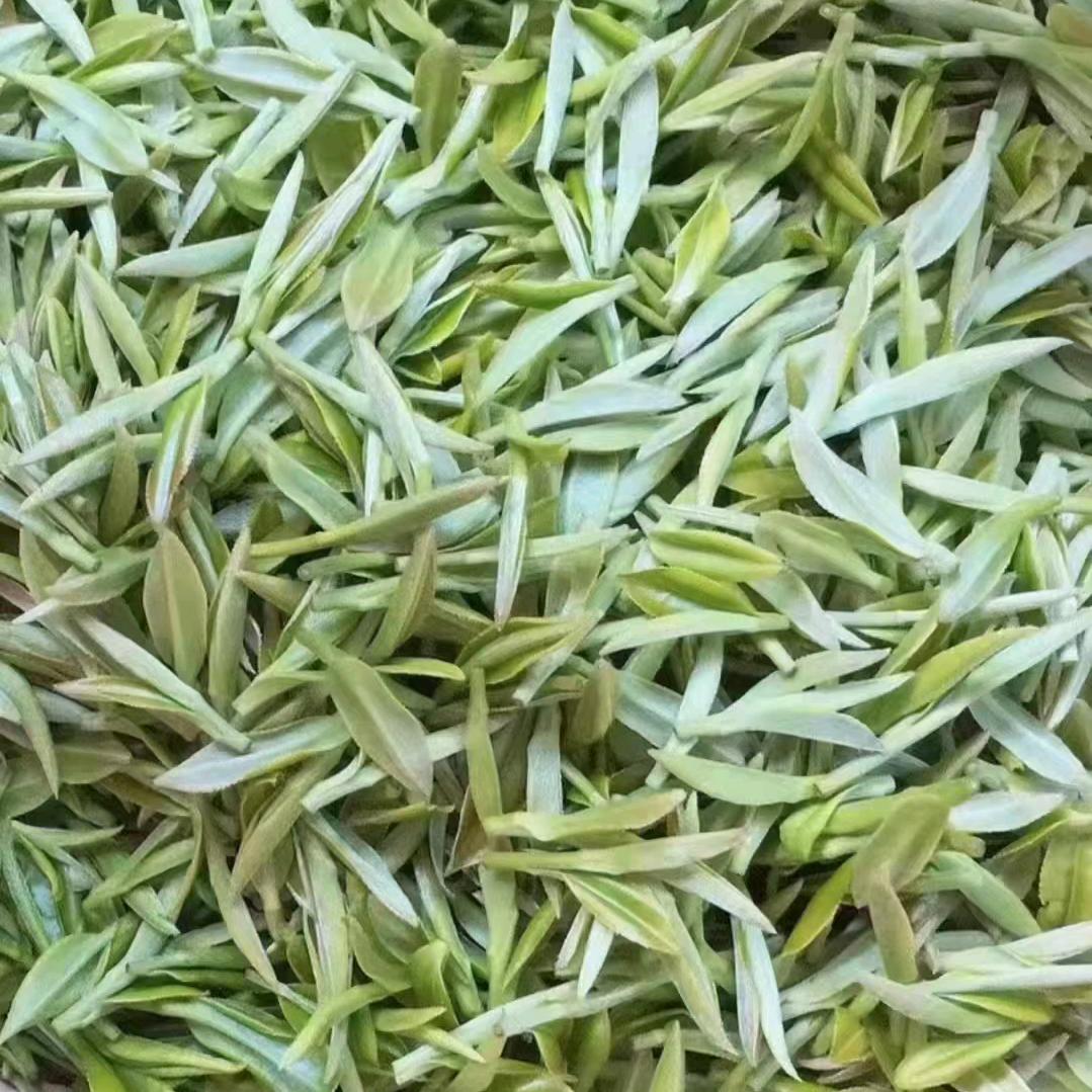 酉阳内外墙装饰（贴砖）