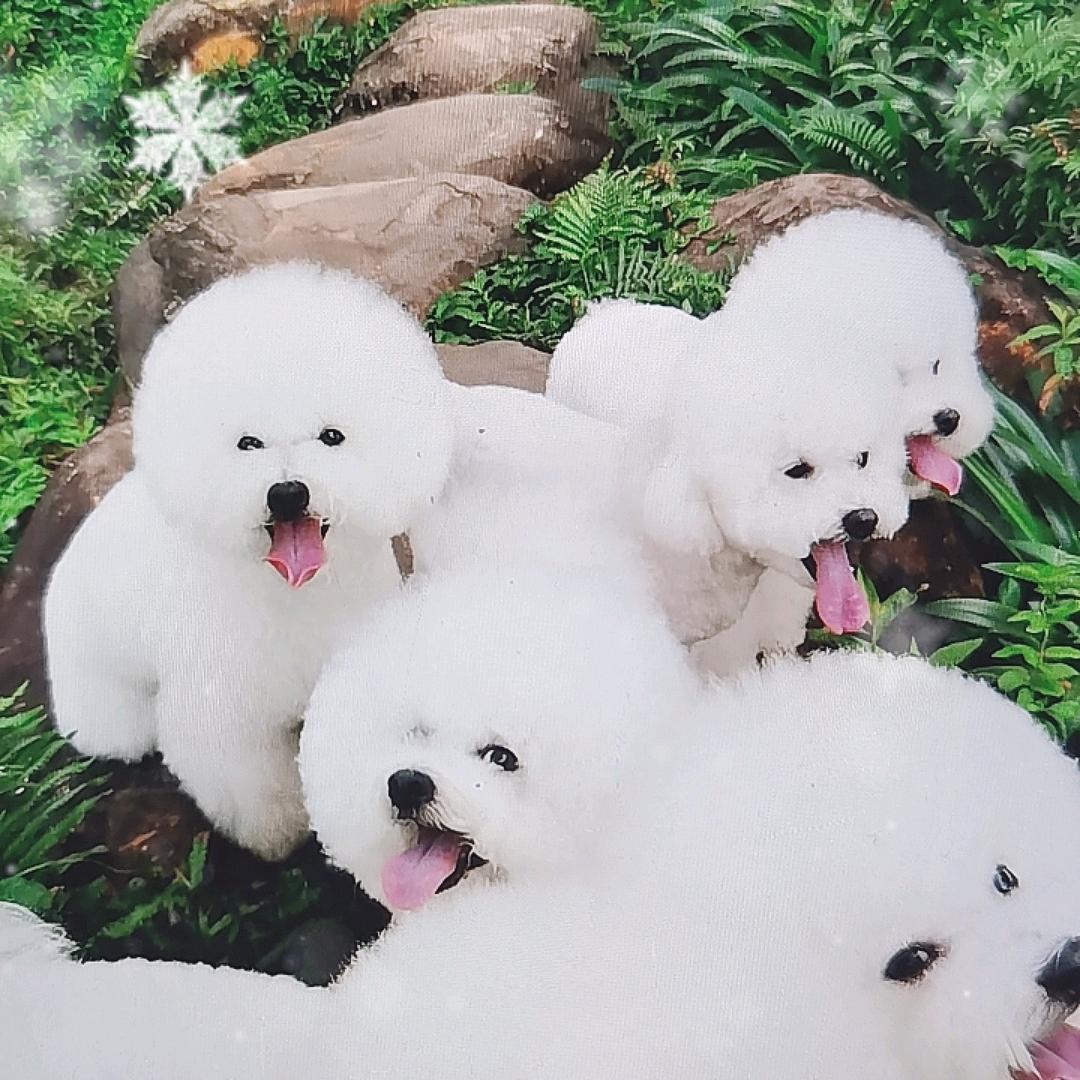爱你哟3