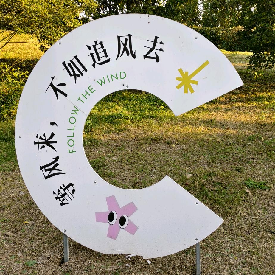 喜欢是淡淡的爱