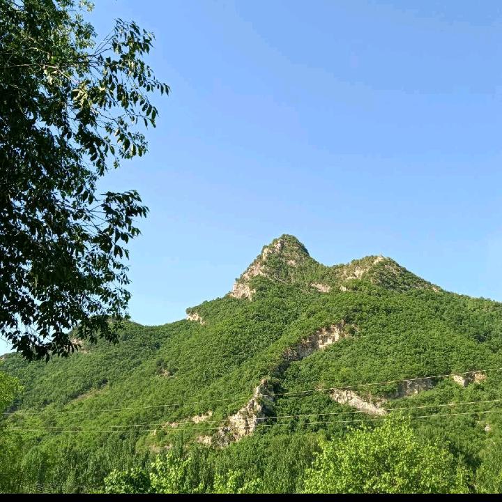 坐看风云起
