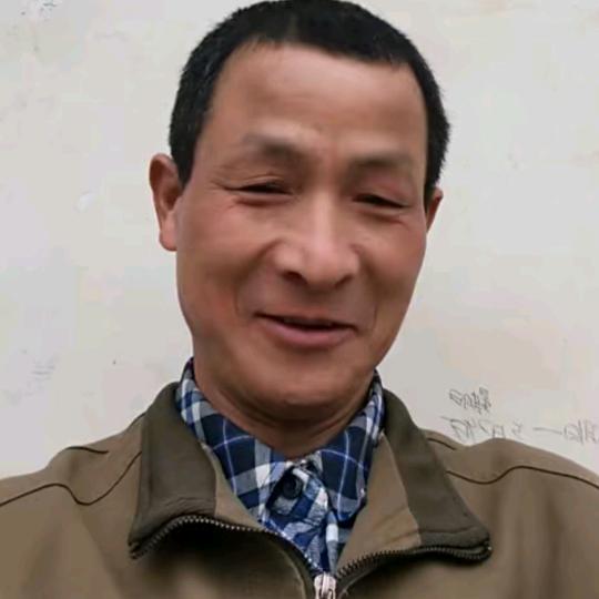 稻谷牛(晚8点10分)