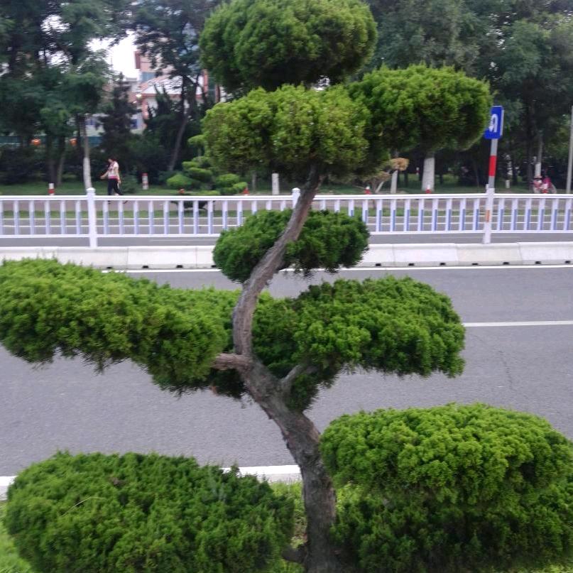 山山水水