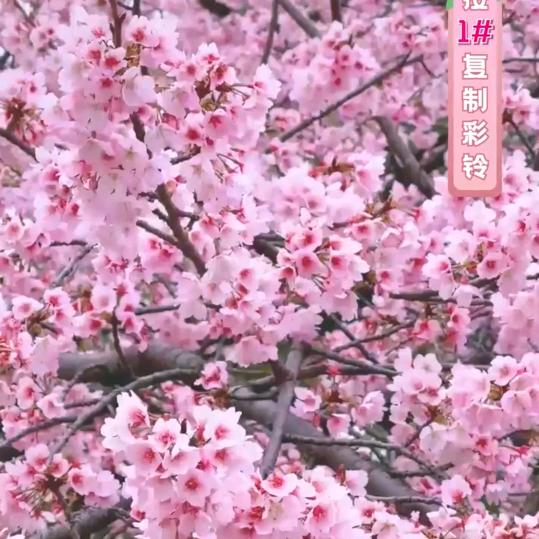 不谈过去，往后余生