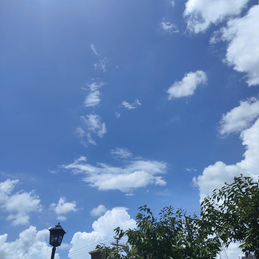 苏州工业园区专业买卖租房