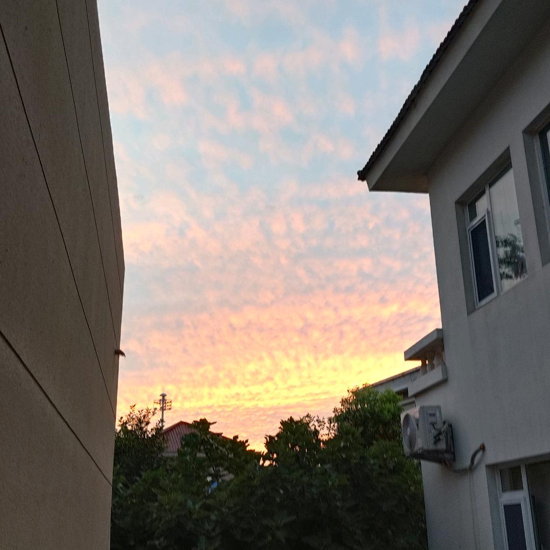 永敢的心