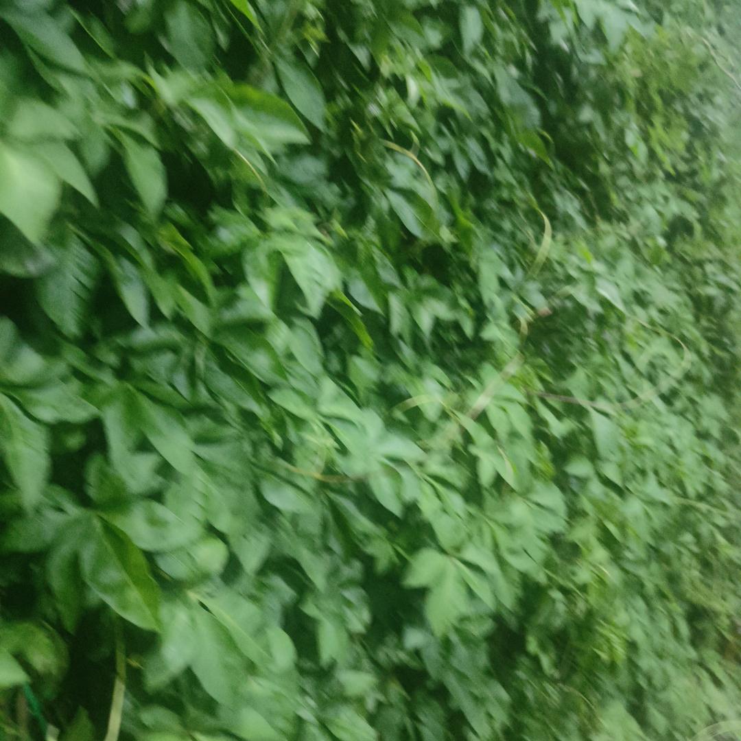 异想天开
